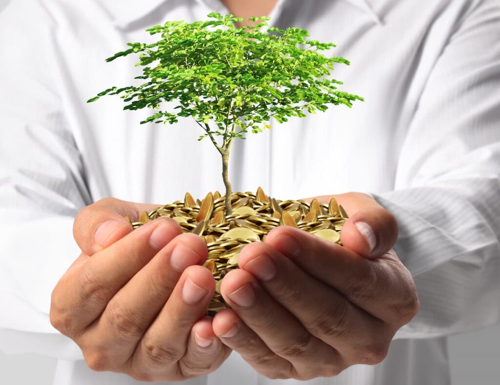 closeup of man's hands holding green miniature tree